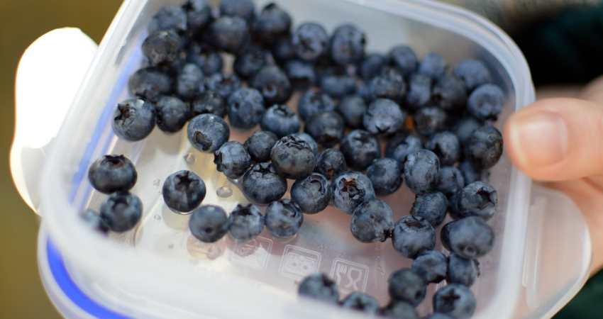 blueberries in Tupperware.