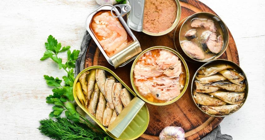 canned salmon and other canned fish