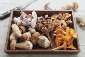 high protein mushrooms in a food tray