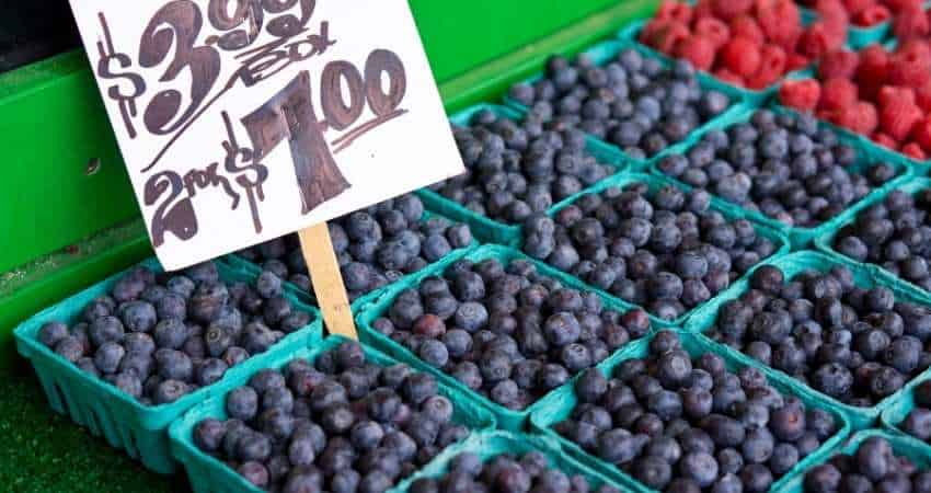 how to choose good blueberries