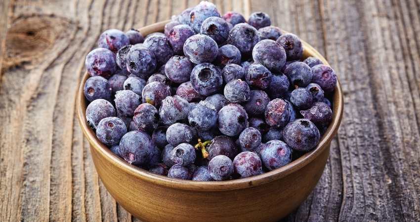  Frozen blueberries in a bowl.