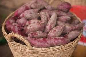 How to Store Sweet Potatoes for the Winter: The Complete Guide