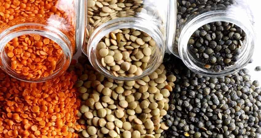organic lentils and conventional lentils