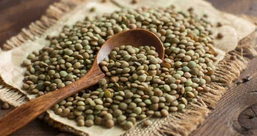 organic lentils vs conventional