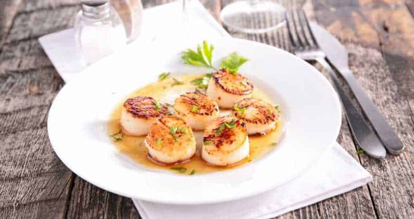 Cooked scallops on a plate.