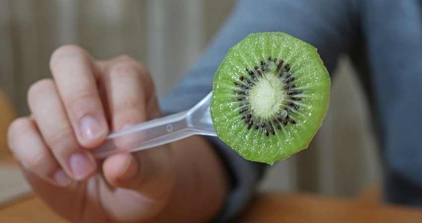 A slice of kiwi and its seeds.