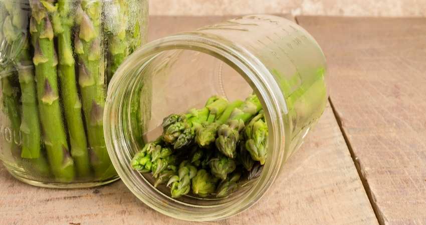 asparagus in a jar.