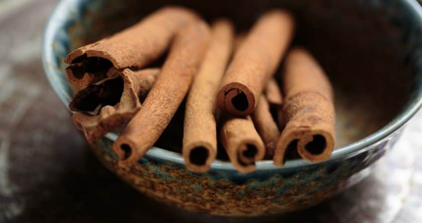 what type of cinnamon is healthier Ceylon or cassia