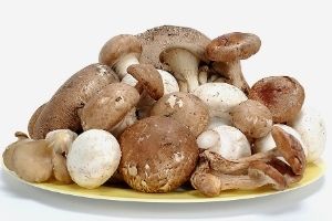 a pile of slimy mushrooms