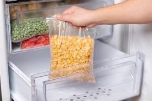 are plastic food storage bags safe