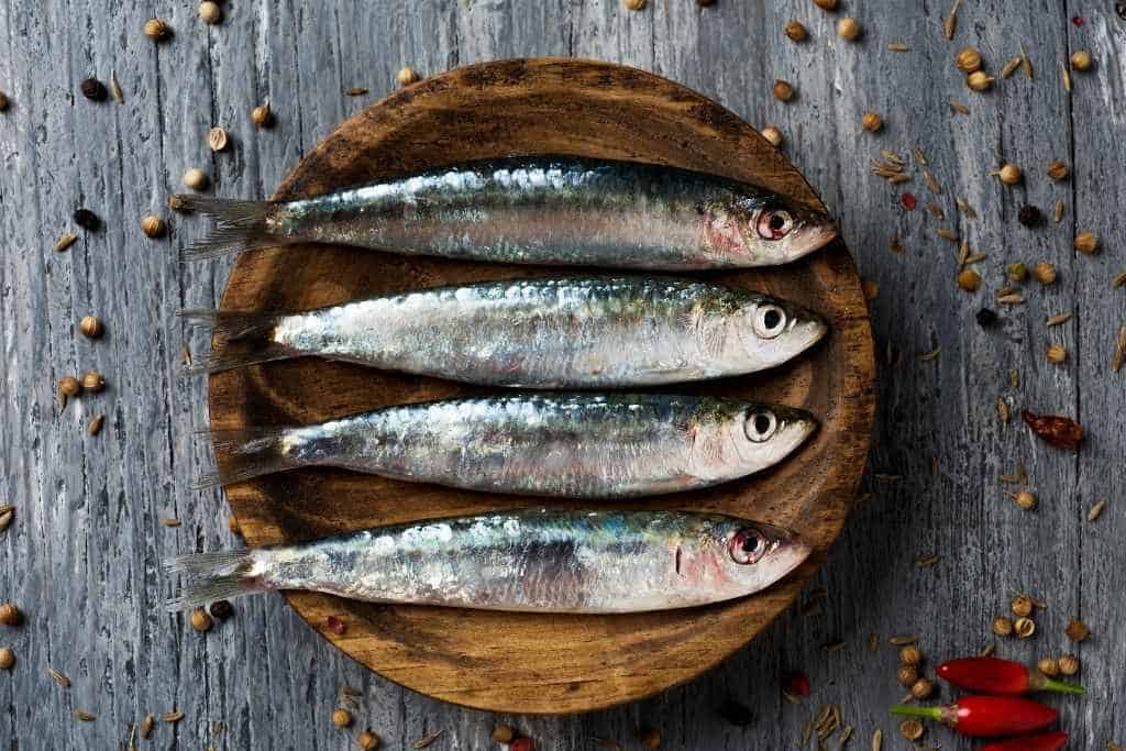 sardines in a bowl