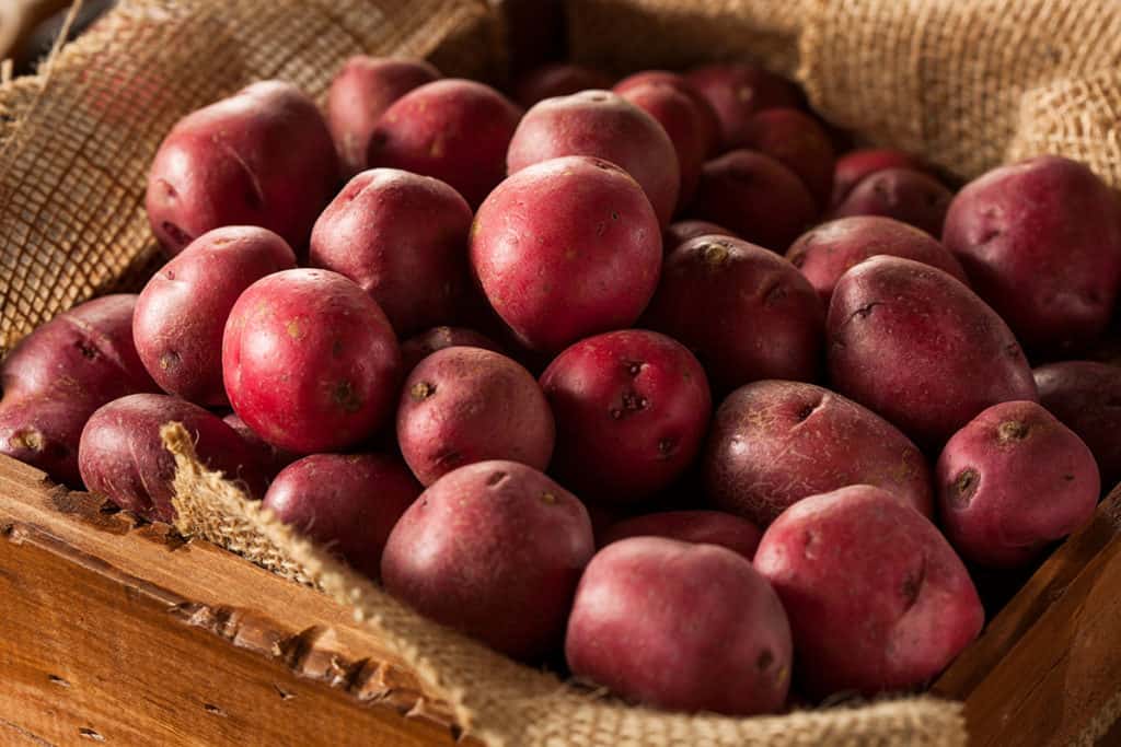 a photo of red potatoes.