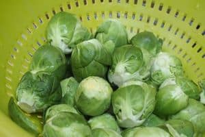 freezing brussels sprouts
