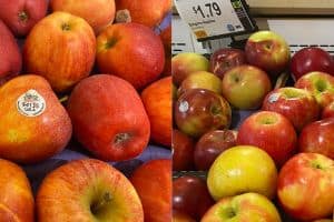 gala and empire apples side by side