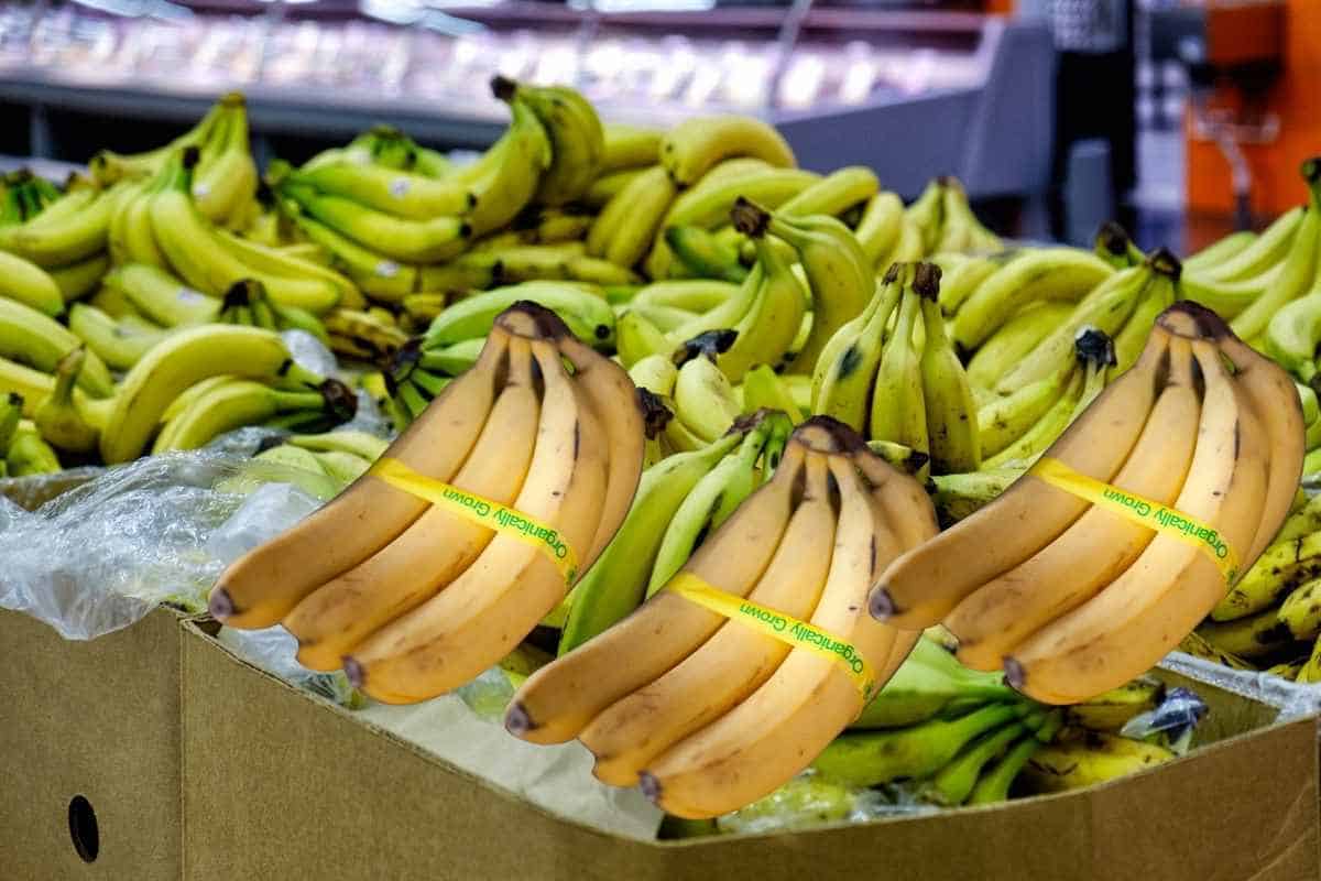Organic and regular bananas in supermarket.