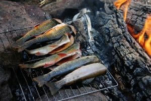 brook and brown trout on a grill cooking