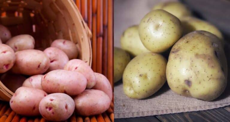 Red Potatoes vs Yukon Gold Potatoes: The Potato Differences