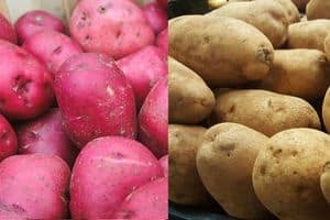 a photo of red potatoes and russet potatoes