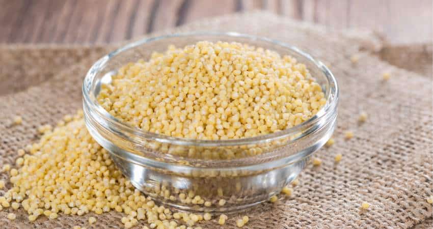 Dry yellow colored millet