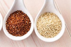 Red Quinoa vs White Quinoa: What’s The Difference?