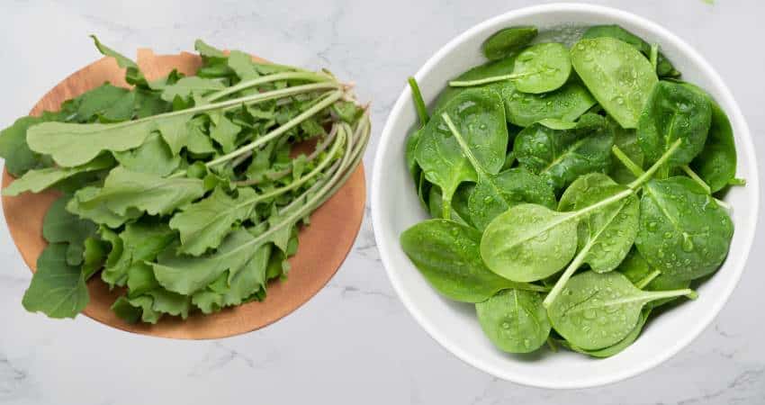 Arugula and spinach photo comparison