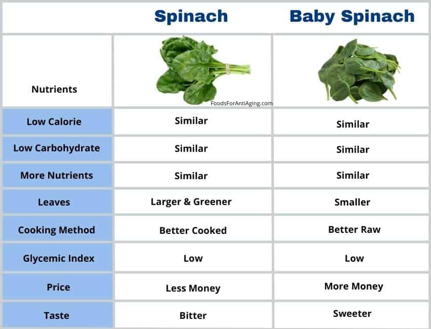baby spinach and spinach comparison