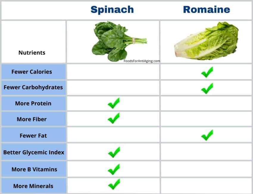 spinach and romaine nutrient comparison