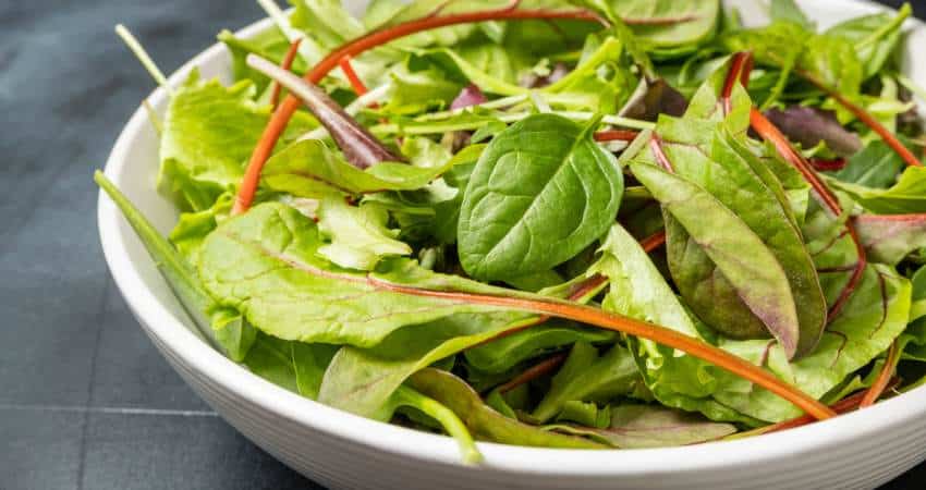 Spinach and swiss chard salad