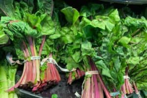 Spinach vs Swiss Chard: Which is Better? Complete Comparison