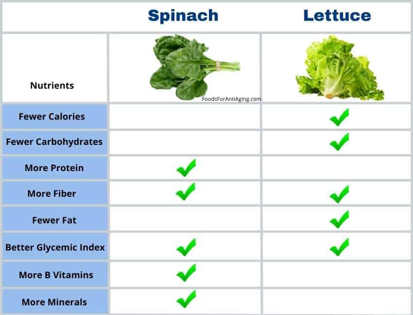 spinach vs lettuce nutrient comparison