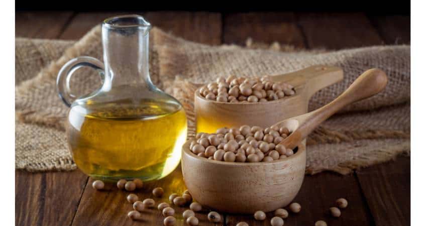 Soybean oil and soybeans