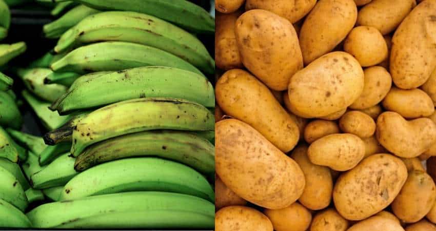 Plantains on the left and potatoes on the right.