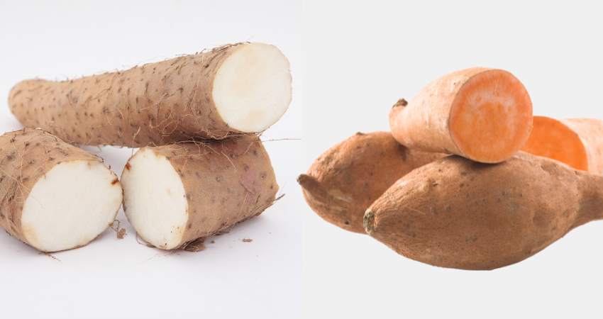 Yams on the left and sweet potatoes on the right