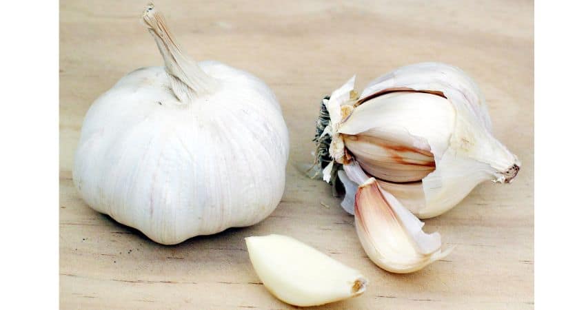A head of garlic.