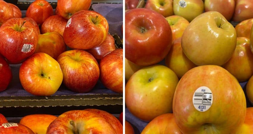 Gala apples on the left and Fuji apples on the right. Pictures were taken at my local supermarket.