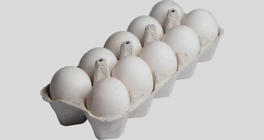 Regular eggs in a carton.