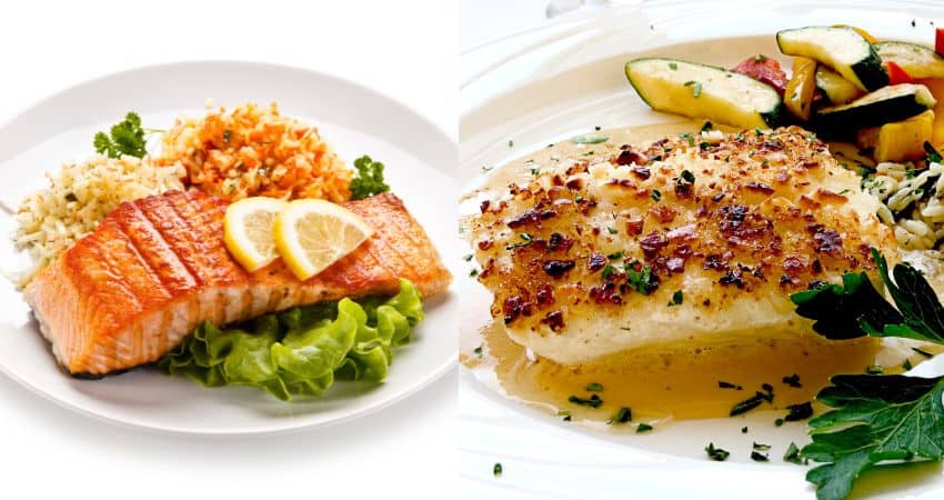 Salmon on the left and halibut on the right.