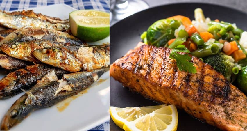 Sardines vs Salmon: A Complete Comparison
