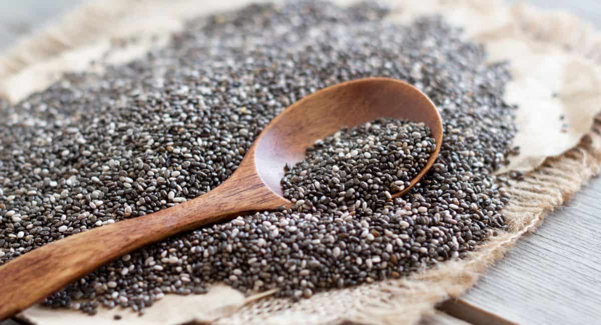 Chia seeds on a spoon.