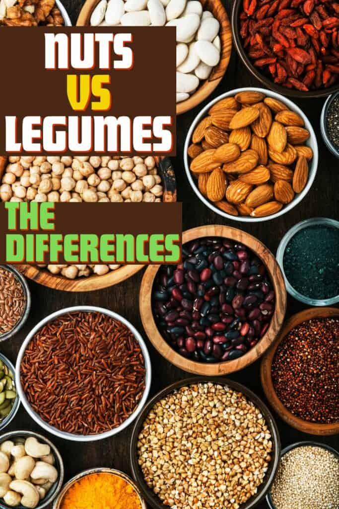 Nuts and Legumes in bowls.